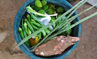 Galle Organic Kitchen – Cooking Class