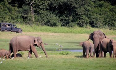 Galle, Udawalawe & Elephant Transit Home – 3 Days