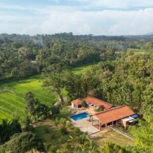 DJI_20240207164609_0027_Ddry-1-600×852-11